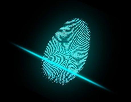 Трасологическая и дактилоскопическая экспертиза